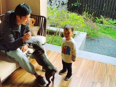 -上海崇明金茂凯悦酒店