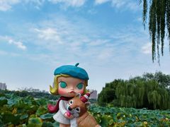 -百花洲