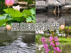 -南长河公园