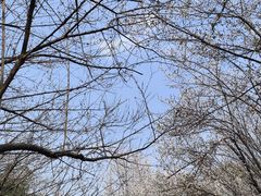 -石湖景区