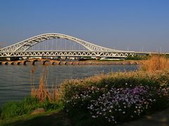 -澹台湖公园