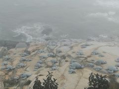 -问海文创园