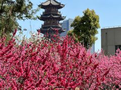 -上海市龙华烈士陵园