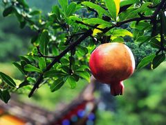 -南京金牛湖风景区