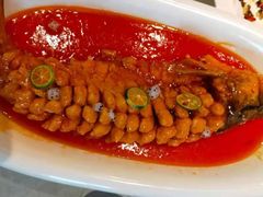 -老长春肉馆(创业大街店)