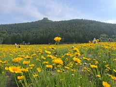 -佛慧山