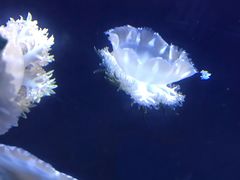 -五缘湾悦都汇购物中心