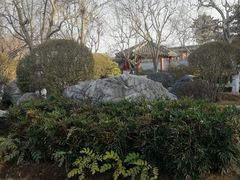 -中国唐苑