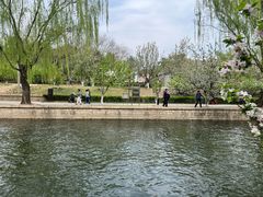 -元大都城垣遗址公园