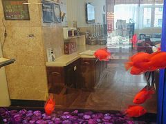 -如家酒店(北京师范大学积水潭店)