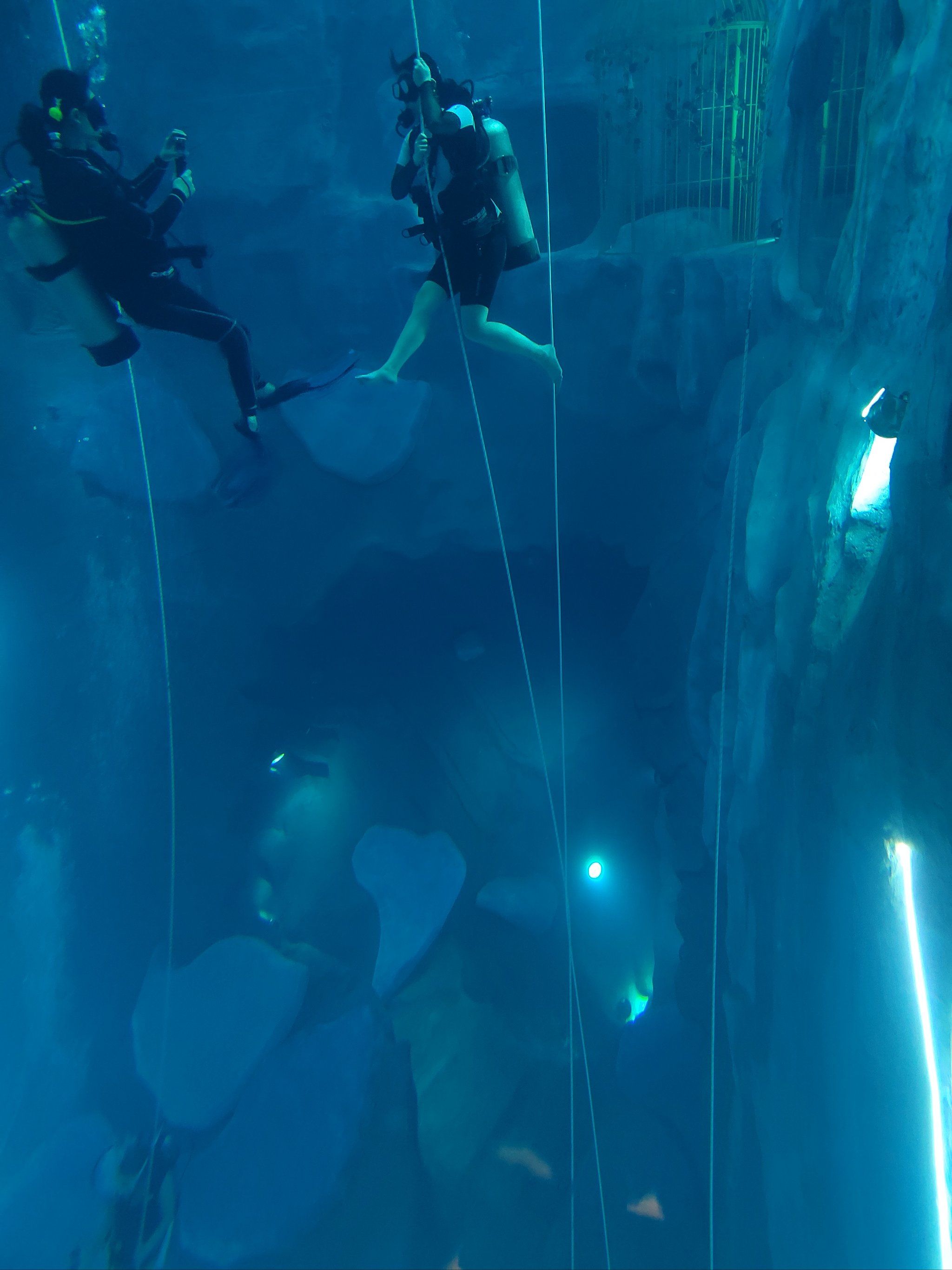 探索虚拟深海的秘密