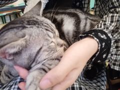 -萌喵咖啡屋(人民东路4号口M16商铺店)