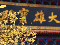 -章华寺