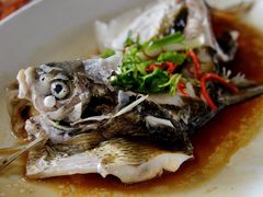 -八仔大富楼·河鲜(西江店)