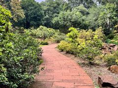 -昆明植物园