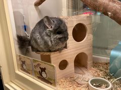 -龙猫仔乐园(惠福东路店)