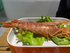 -铭记蛙小仙·活蛙畅享(CBD万达广场店)