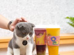 -喜茶(深圳喜荟城店)