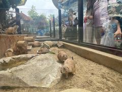 -海合安成都极地海洋公园