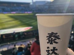 -泰达足球场