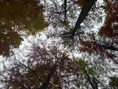 -重庆彩云湖湿地公园