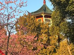 -无锡梅园公园