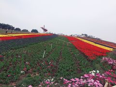 -东部华侨城