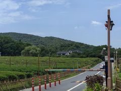 -中国茶叶博物馆(双峰馆区)