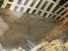 -勝記酒家·37年老字号·经典粤菜(荔枝公园店)