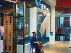 -雀舞云南菜(乐客城店)