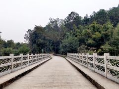 -南宁良凤江国家森林公园