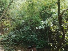 -剑门关风景区