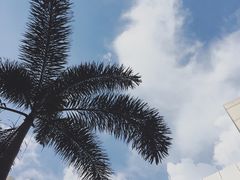 -深圳博林圣海伦酒店