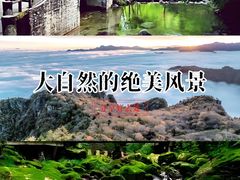 -牛背梁国家森林公园