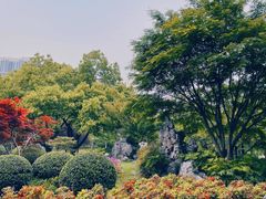 -堤角公园