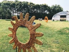 -太阳岛度假酒店