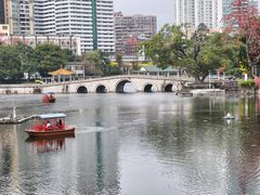 -荔湾湖公园