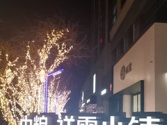 -中粮·祥云小镇