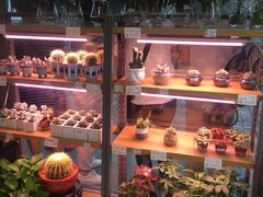 -中国石化十里河加油站