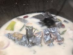 -鲜潭蒸汽石锅鱼(五道口购物中心店)