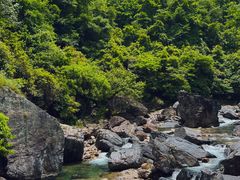 -石台牯牛降景区