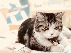 -一品格美术·中考高中成人美术培训