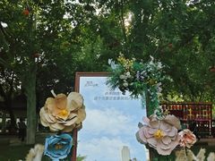 -西苑公园