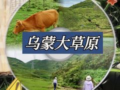 -乌蒙大草原