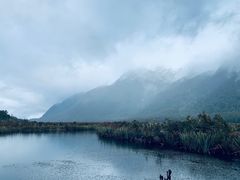 -悉尼海洋生物水族馆