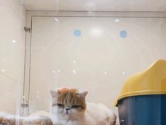 -1013 PET SHOP 宠物商店(近铁城市广场店)