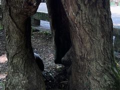 -西溪南古村落