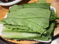 -小炉灶铁锅炖
