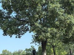 -汉长安城未央宫国家考古遗址公园