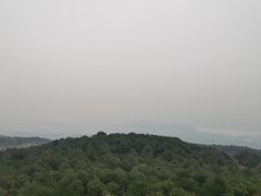 -铁山坪森林公园